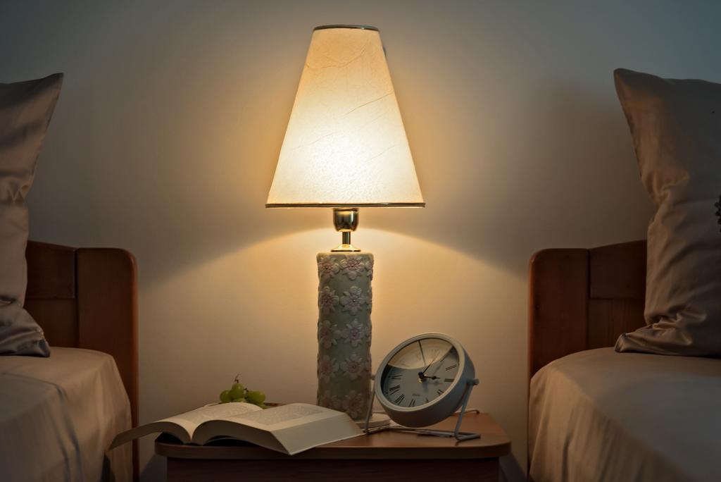 Apartman Roza 罗戈兹尼察 外观 照片